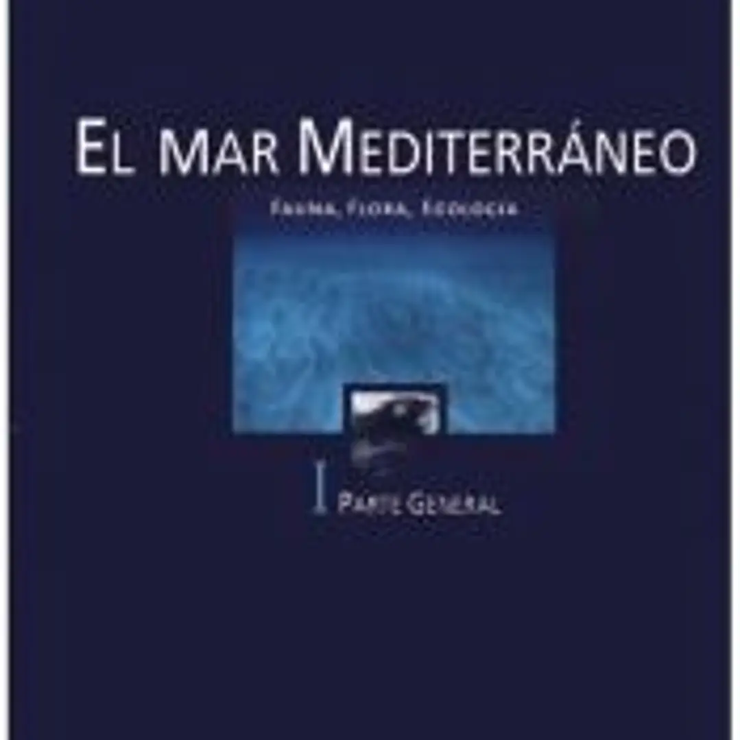 EL MAR MEDITERRÁNEO - I 1