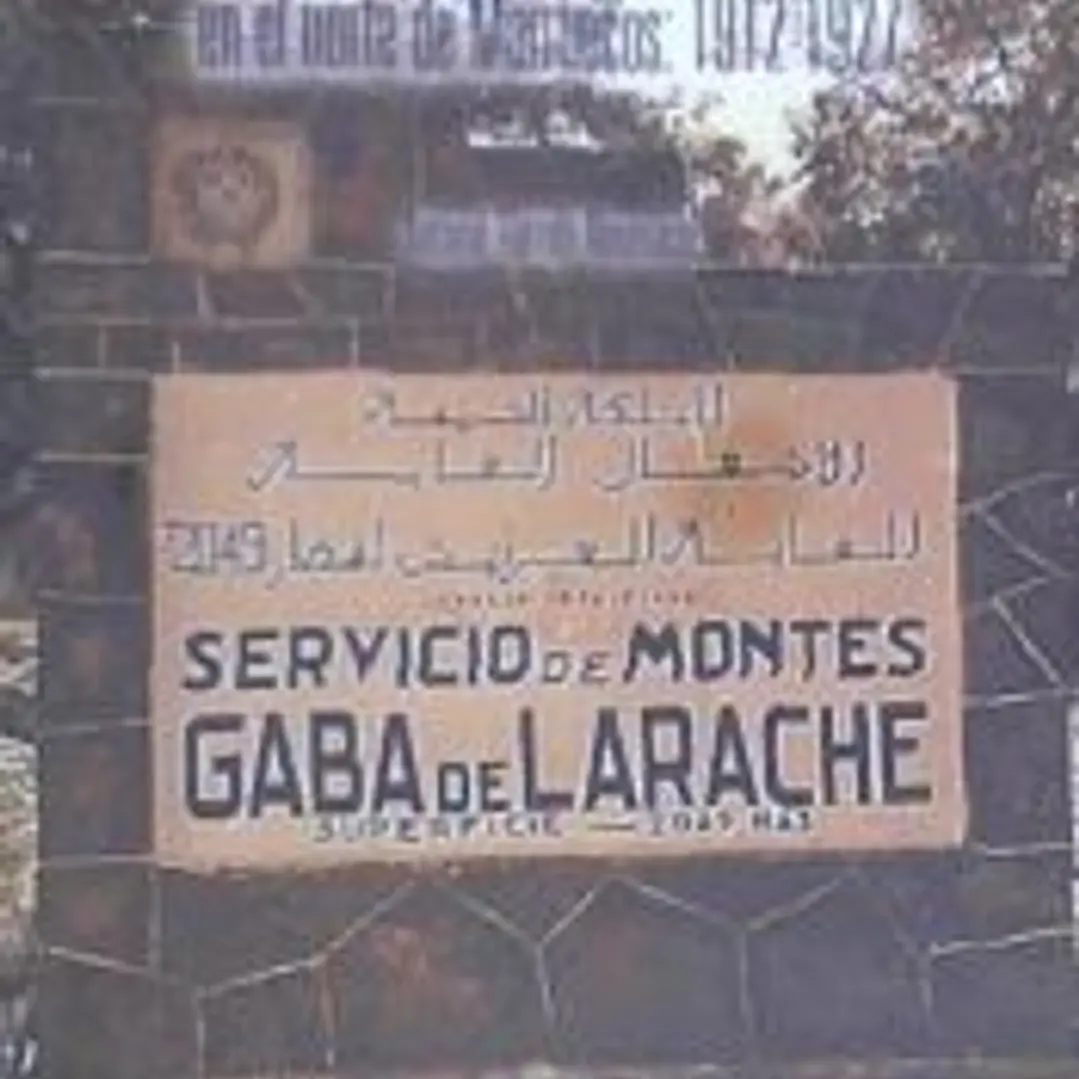 Los inicios de la gestión forestal española en el norte de Marruecos: 1912-1927 1