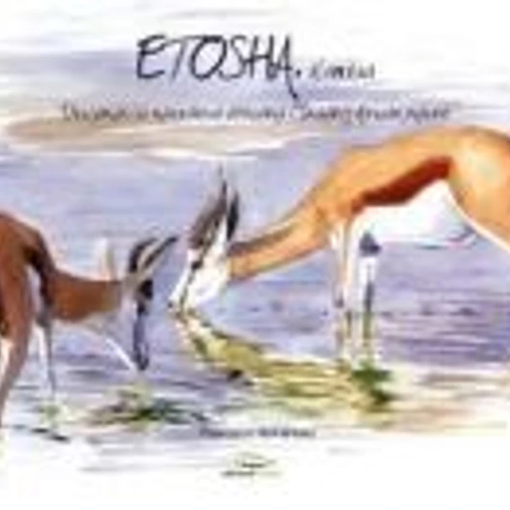 Etosha: Dibujando la naturaleza africana / Drawing African nature 1