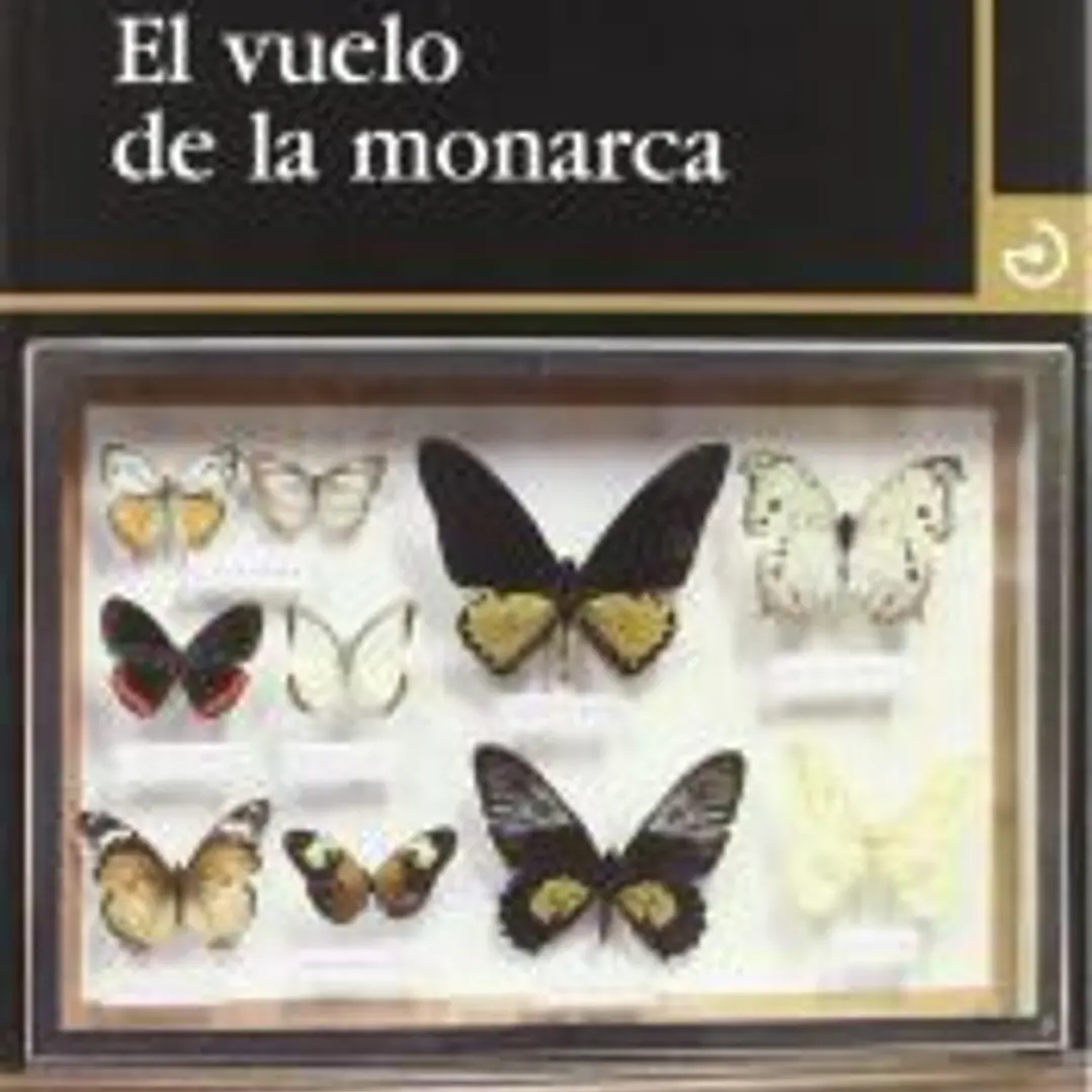 VUELO MONARCA 20 Menoscuarto 1