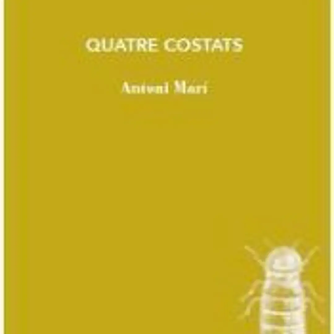 Quatre costats 1