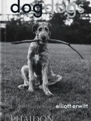 Dogdogs