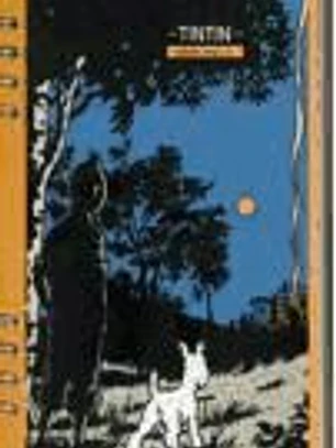 AGENDA TINTIN-2010