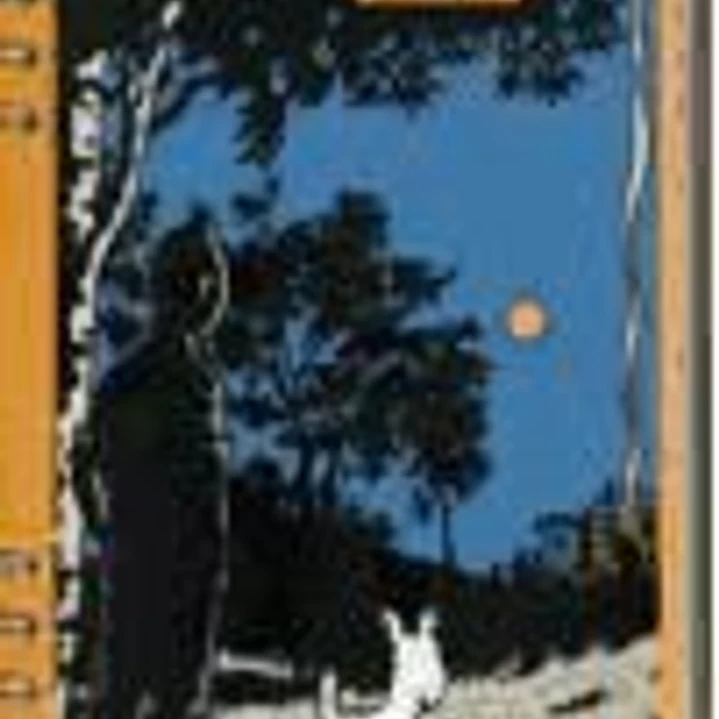 AGENDA TINTIN-2010 1