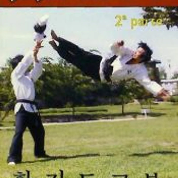 HAPKIDO 2ª PTE 1