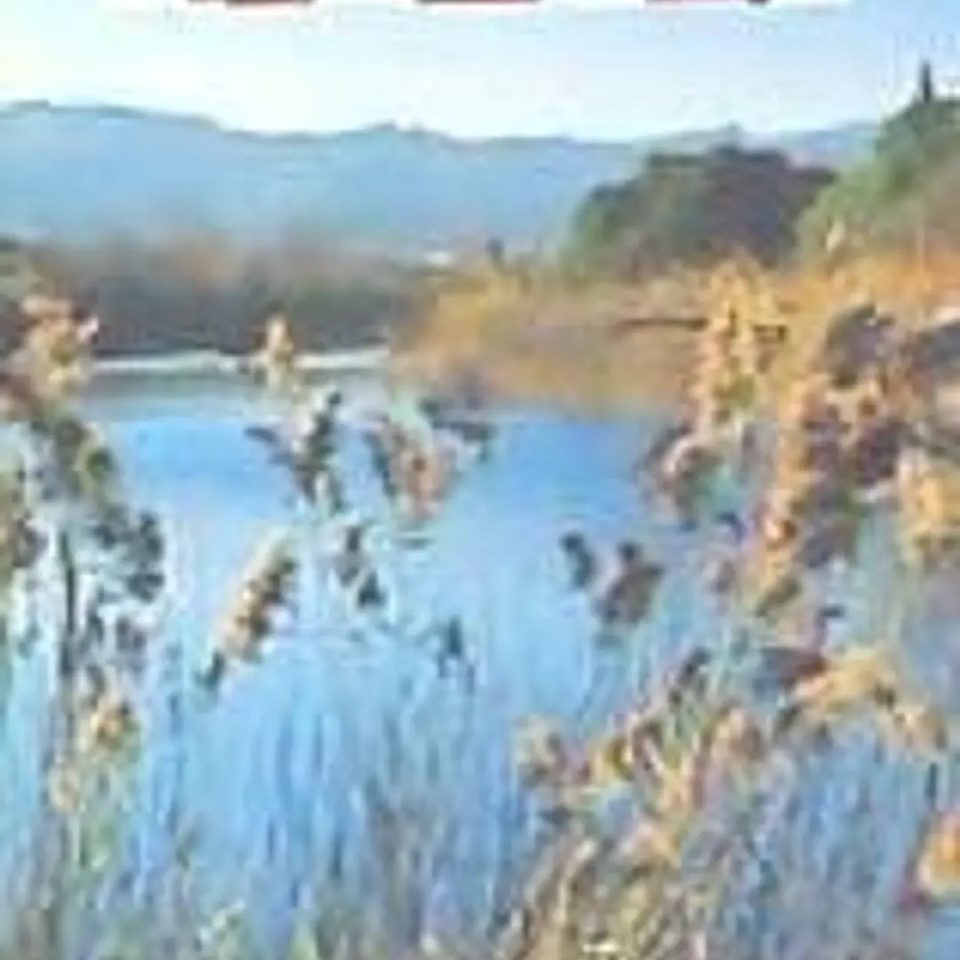 Excursions a peu pel Baix Llobregat: 20 itineraris 1