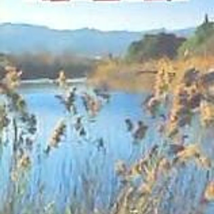 Excursions a peu pel Baix Llobregat: 20 itineraris 1