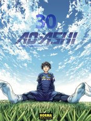 AO ASHI 30