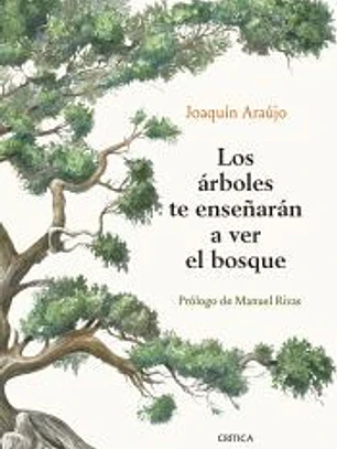 Los árboles te enseñarán a ver el bosque