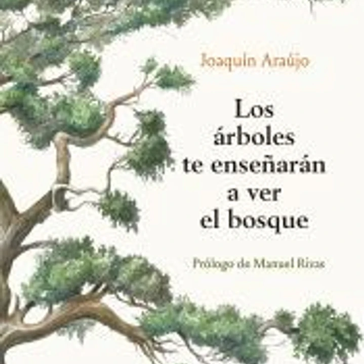 Los árboles te enseñarán a ver el bosque 1