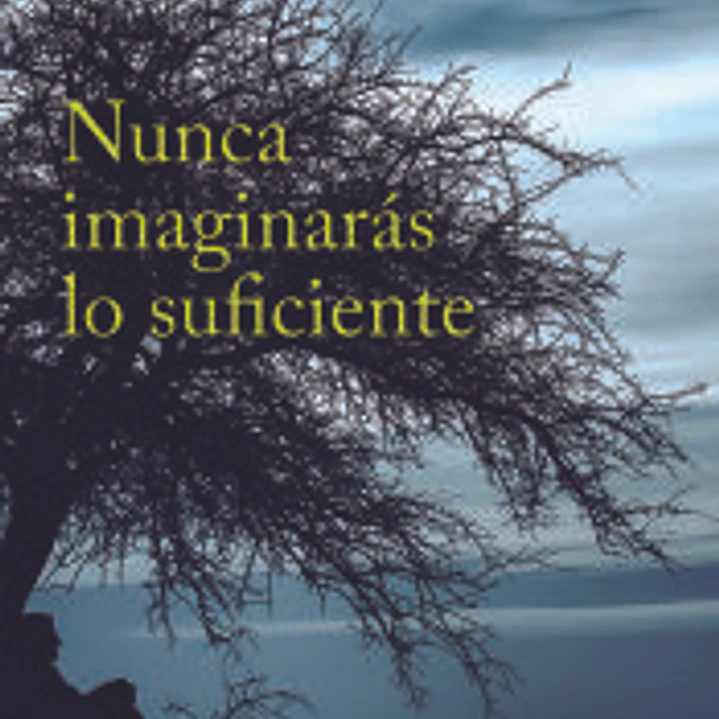 Nunca imaginarás lo sufiente 1