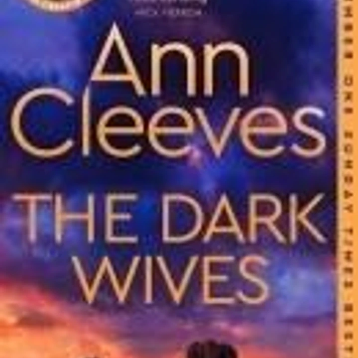 MC25 DARK WIVES 1