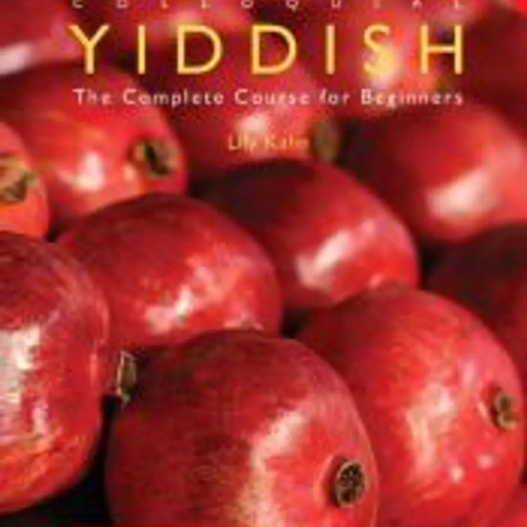 Colloquial Yiddish 1