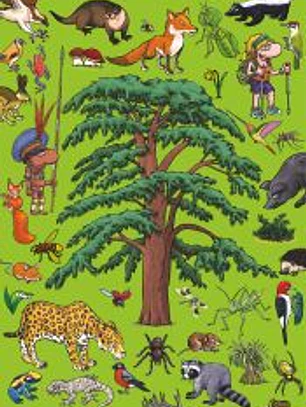 Busca y encuentra en los bosques y selvas