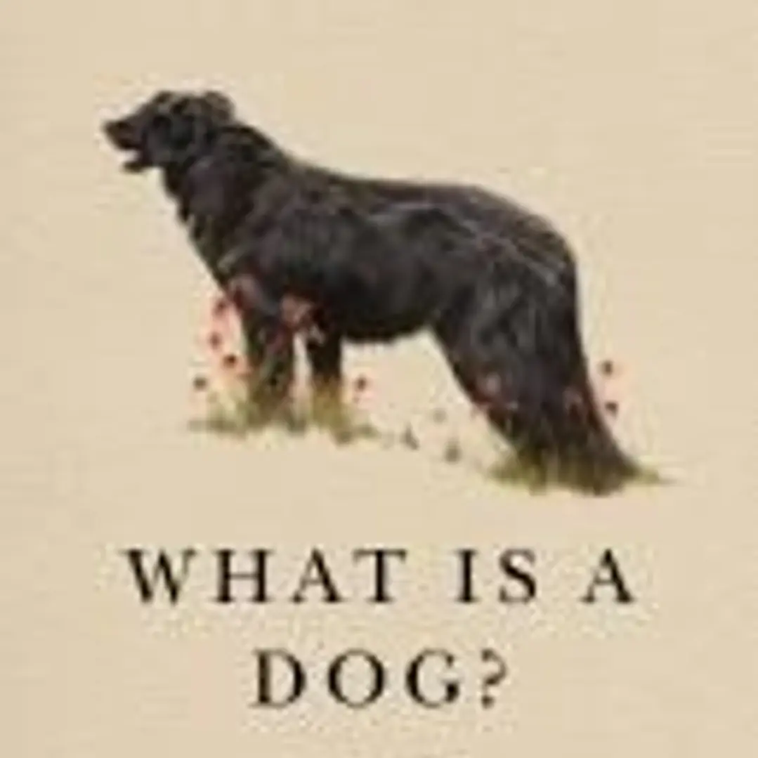 What Is a Dog?: A Memoir 1
