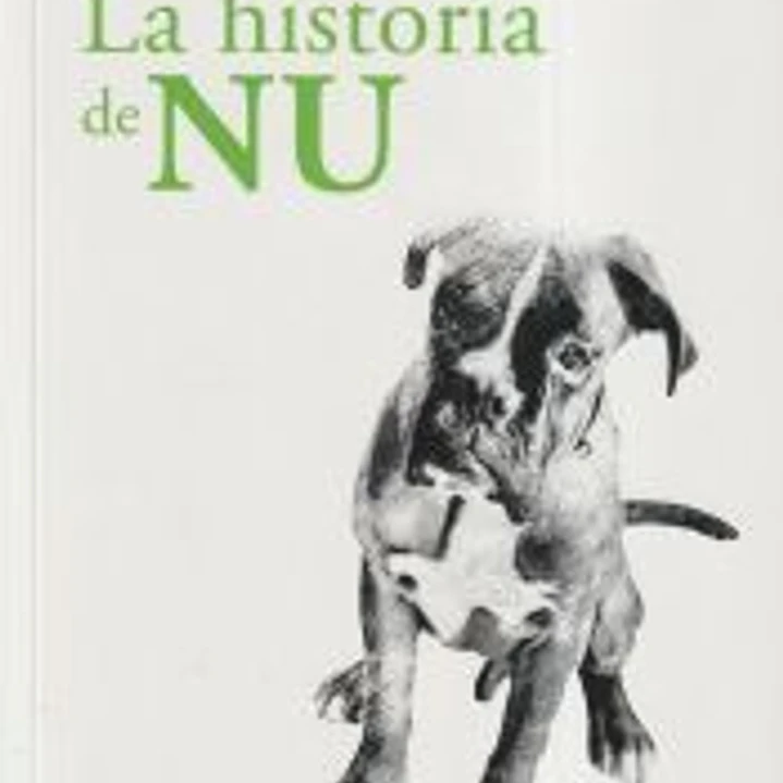 La hsitoria de Nu 1