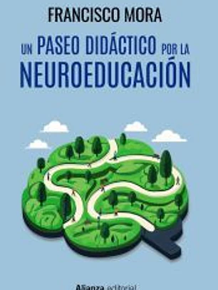 Un paseo por la neuroeducación