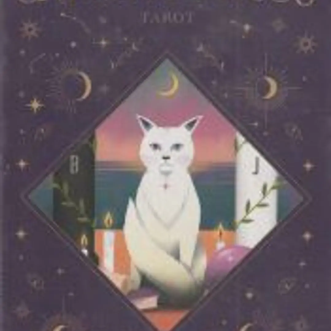 Gatos mágicos - Tarot 1