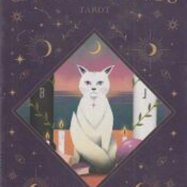 Gatos mágicos - Tarot 1