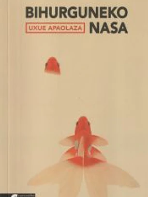 Bihurguneko nasa