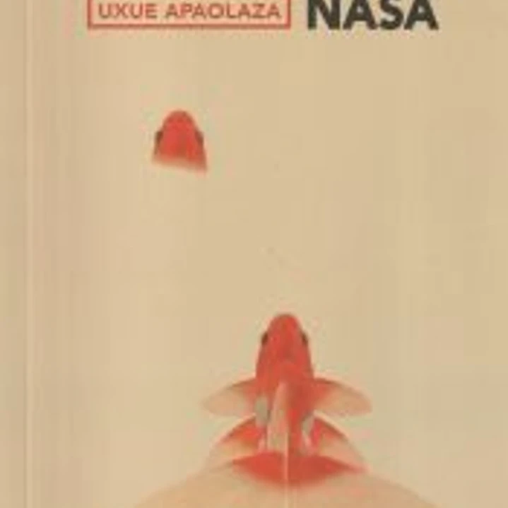 Bihurguneko nasa 1