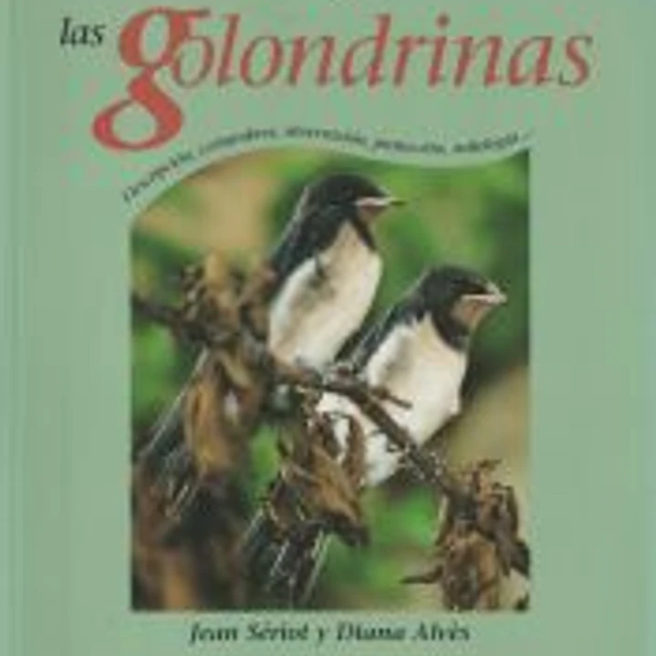 LAS GOLONDRINAS 1