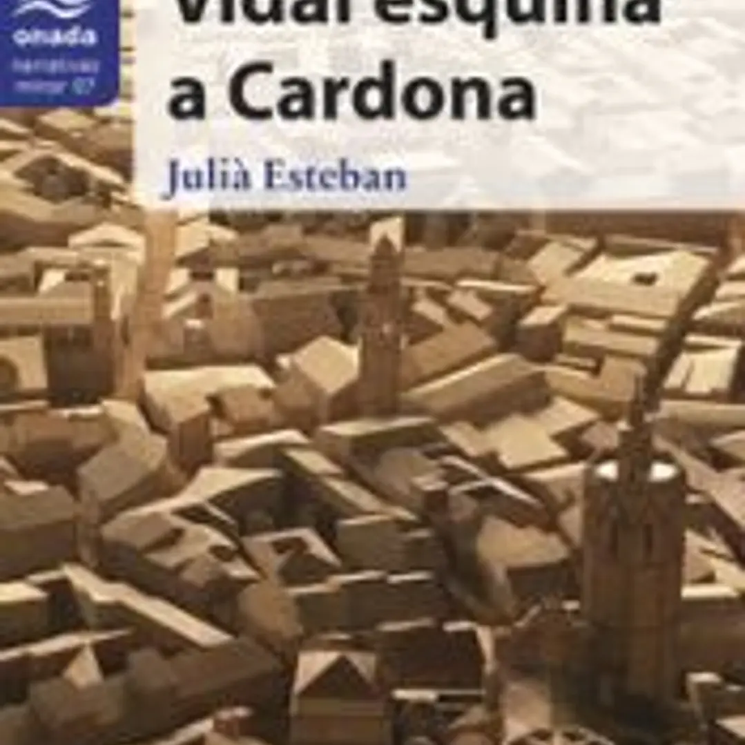 Vidal esquina a Cardona 1