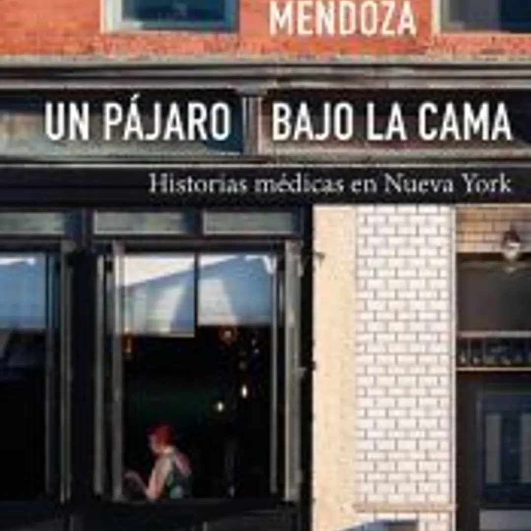 Un pájaro bajo la cama 1