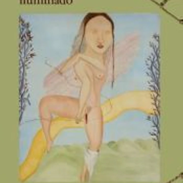 Cecilia Vicuña. Veroír el fracaso iluminado 1
