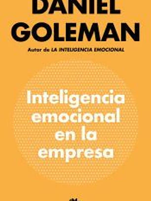 Inteligencia emocional en la empresa