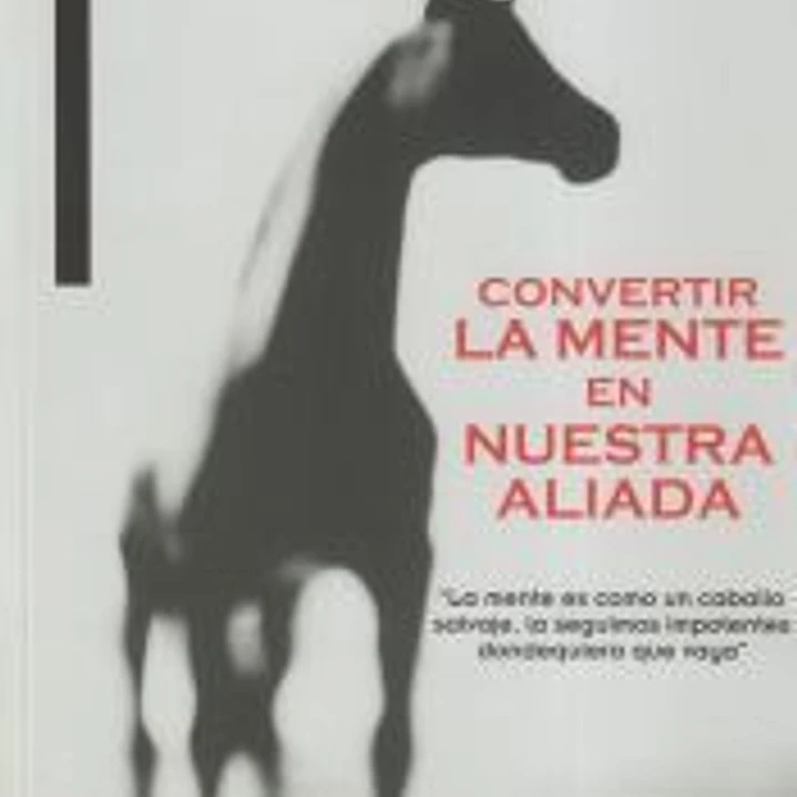 CONVERTIR LA MENTE EN NUESTRA ALIADA 1
