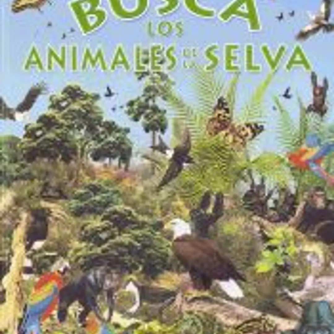 Busca los animales de la selva 1