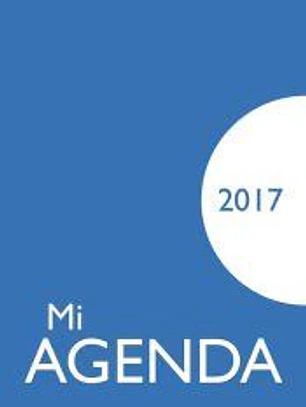 Mi agenda 2017: funda opaca