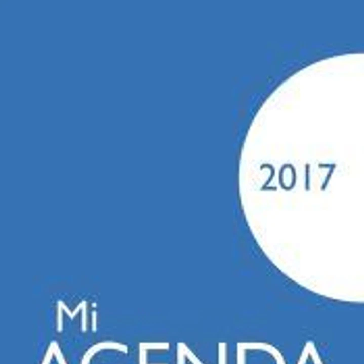 Mi agenda 2017: funda opaca 1