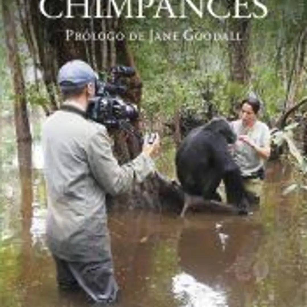 Viviendo entre chimpancés 1