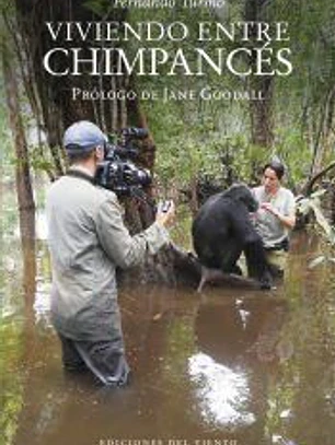 Viviendo entre chimpancés