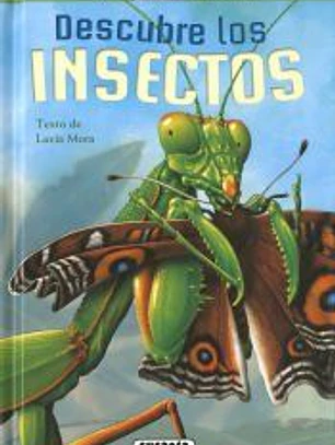 Descubre los insectos