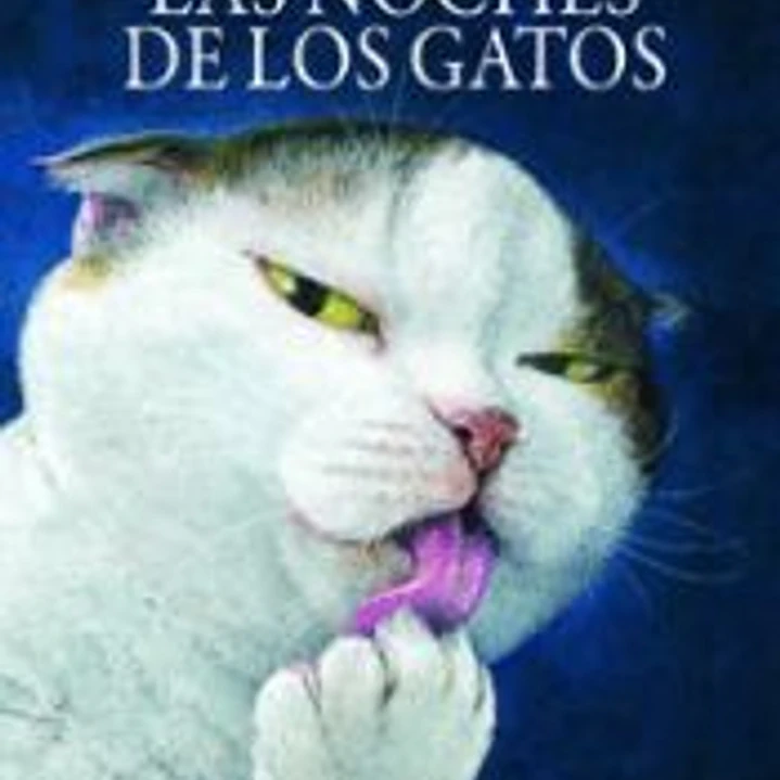 Las noches de los gatos 1