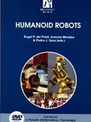 Humanoid robots