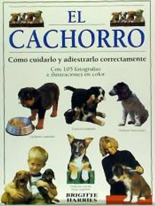 EL CACHORRO