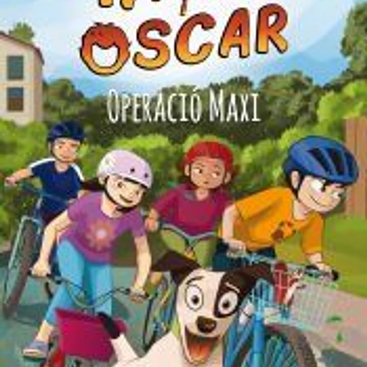 Operació Maxi 1