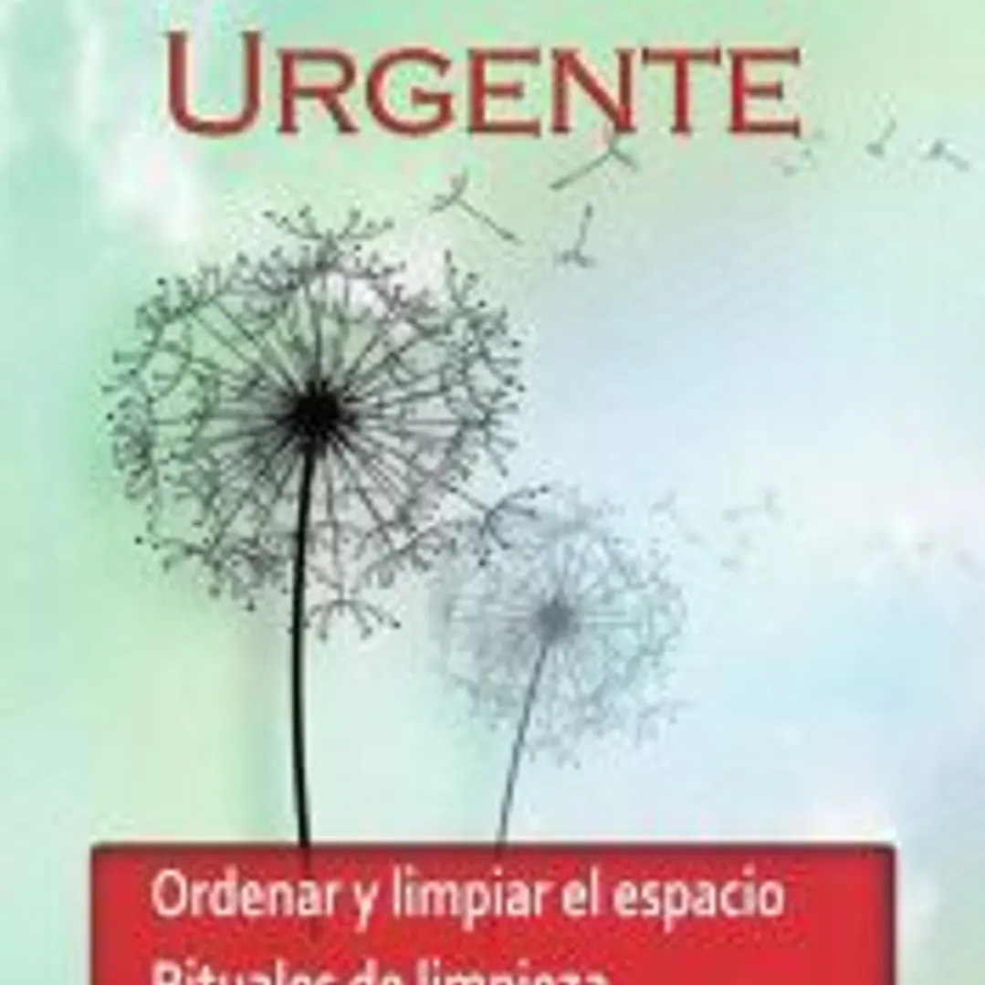 Feng Shui Urgente 1
