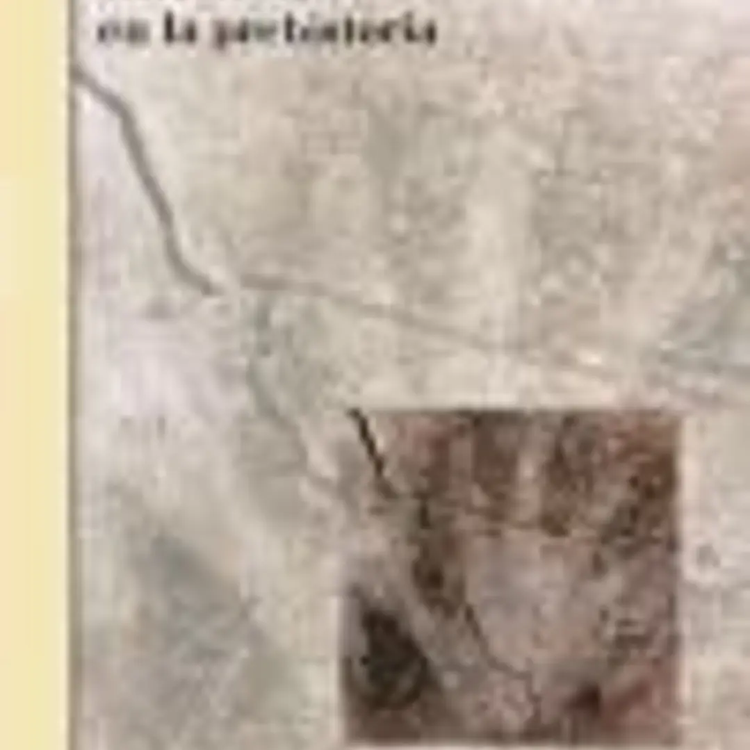 CATÁSTROFES EN LA PREHISTORIA 1