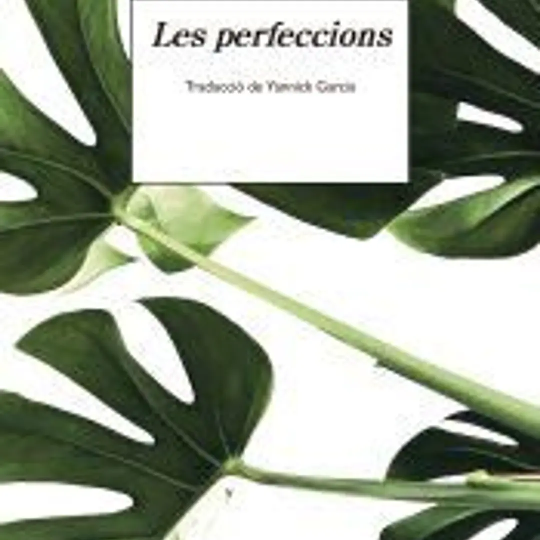 Les perfeccions 1