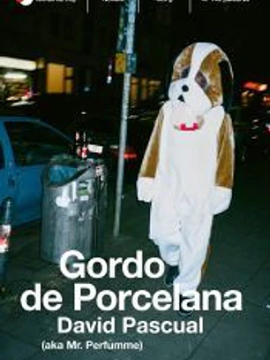 Gordo de Porcelana