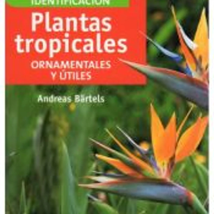 PLANTAS TROPICALES 1