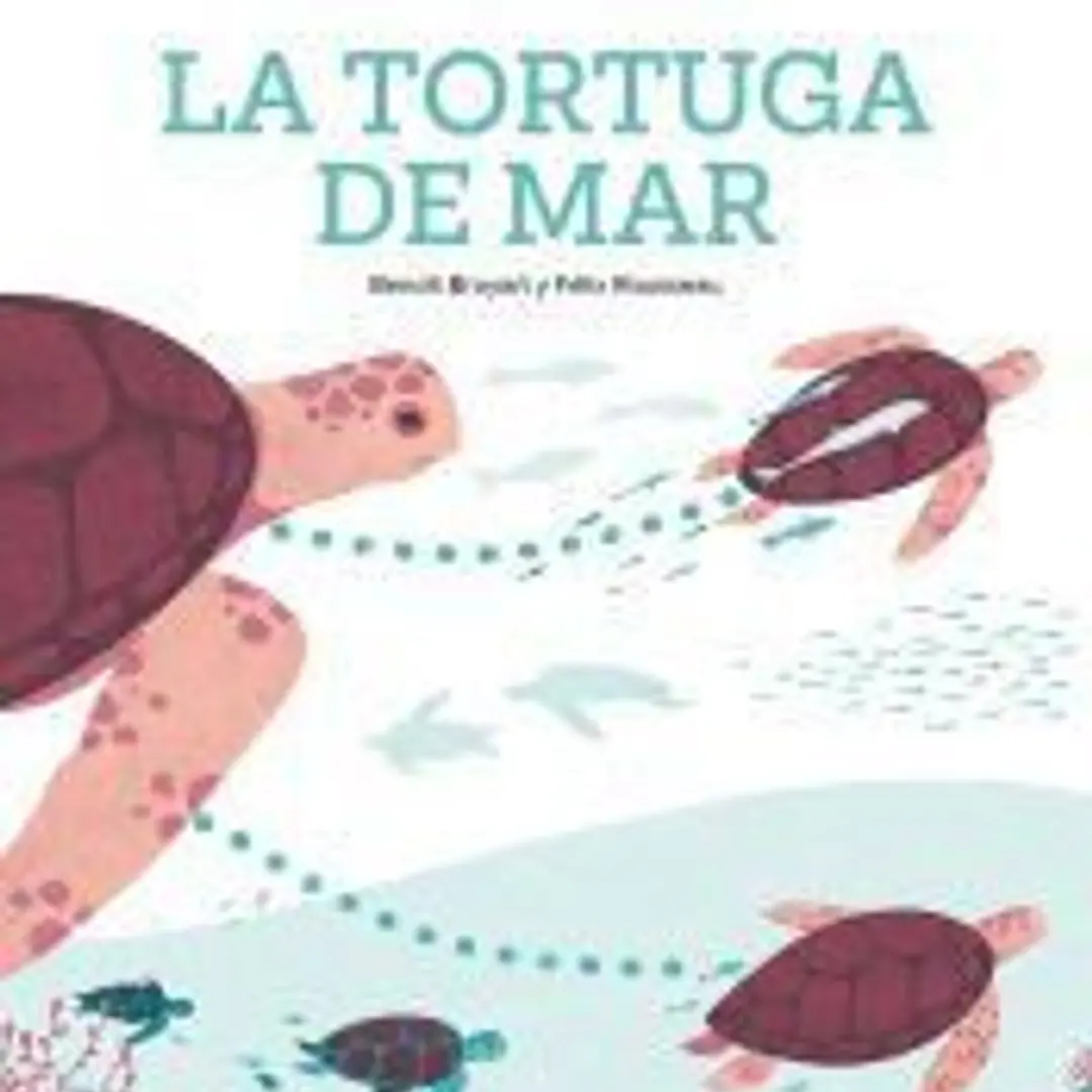 LA TORTUGA DE MAR 1