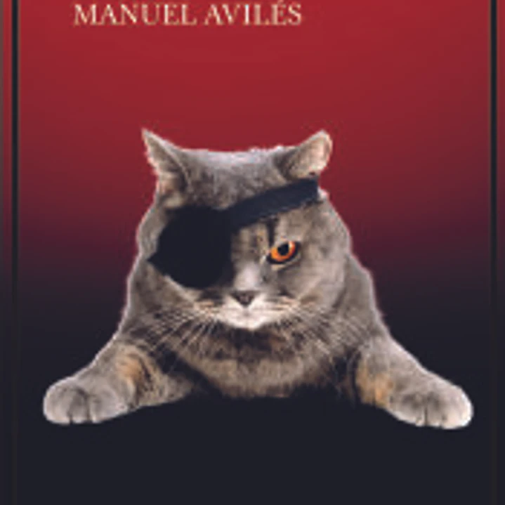 El gato tuerto 1