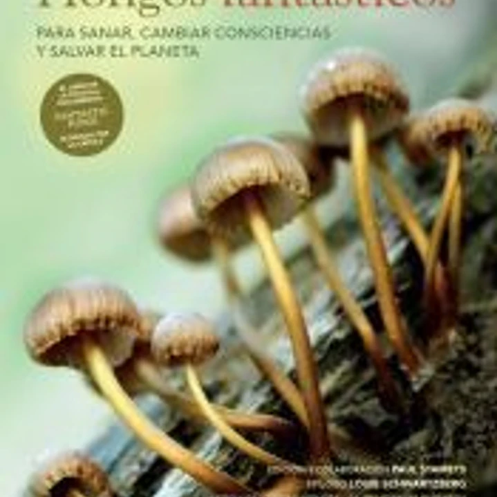 Hongos fantásticos 1
