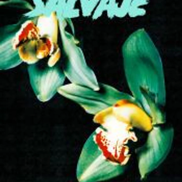 REVISTA SALVAJE 28 1